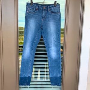 Articles of Society Denim